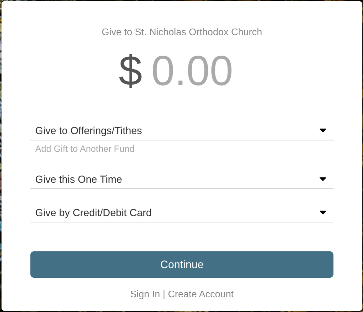 Preview of the online giving form